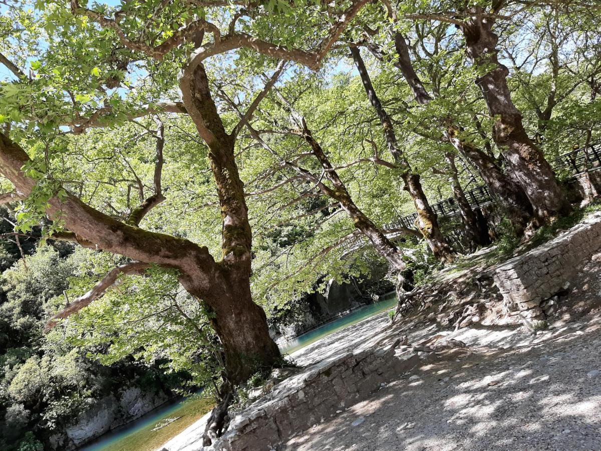فندق Lichovo بايبيغكو المظهر الخارجي الصورة